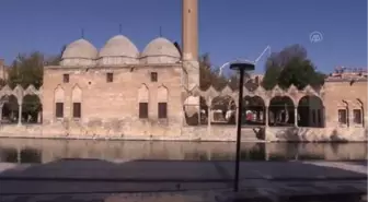 ŞANLIURFA - Polis ekipleri, balıkları yemledi