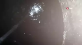 Fuel Oil tankına düşen kedi kurtarıldı