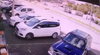 Son dakika! Bodrum'da otomobilin köpeğe çarptığı anlar güvenlik kamerasında