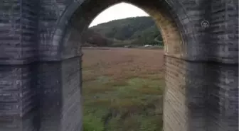 Barajlardaki su seviyesi ortalaması yüzde 22'ye indi