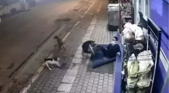 İşten evine giderken sokak köpekleri saldırdı, kuduz aşısı yapıldı