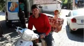 Antalya'dan Aydın'a uzanan çift kol nakilli yeni hayat