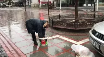 Hayvansever belediye personeli, kısıtlamada meydanlardaki güvercinleri unutmadı