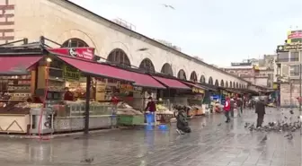 İstanbul'daki belediyelerden sokak hayvanlarına mama ve su desteği