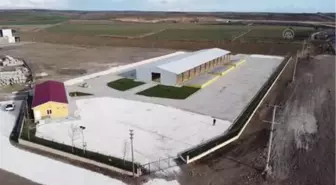 (Drone) 'Hayrabolu Canlı Hayvan Pazarı' 5 Ocak'ta açılacak