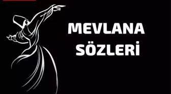 Mevlana sözleri 2021 | Anlamlı Kısa Mevlana sözleri, Resimli Hz. Mevlana sözleri 2021