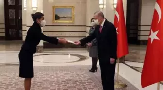 Cumhurbaşkanı Erdoğan, güven mektuplarını kabul etti