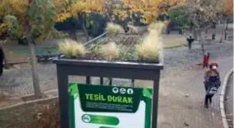 İzmir'deki 'doğa dostu' durak görenleri şaşırtıyor