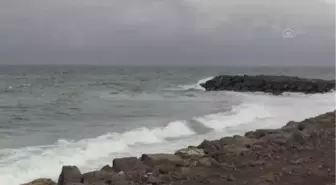 Doğu Karadeniz'deki üç balıkçı limanında karşılaşılabilecek riskler araştırılacak