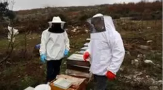 Arı kolonisinde 'varroa' hastalığı tespit edilen üreticinin arıları kurtarıldı