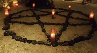 Çok sayıda kedinin kaybolduğu Muğla'da satanist paniği! 'Ayin için sürekli telefon açıyorlar'