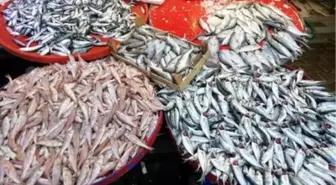 Kısıtlamanın son gününde de tezgahlarda balık eksik olmadı