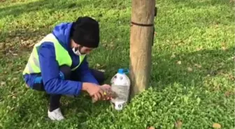 Yabancı uyruklu öğrenciler sokak hayvanlarını besledi