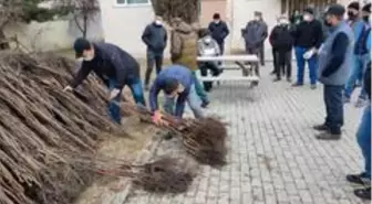 Bozüyük'te çiftçilere ceviz fidanı dağıtımı yapıldı