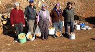 Fakirin eti çıntar mantarı için ormana akın başladı