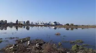 Son dakika! İzmir'de sele neden olan yağışlar barajları doldurmadı, kar bekleniyor