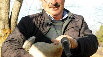 Hobi olarak kaz yetiştiriciliğine başladı, şimdi çiftlik kurdu