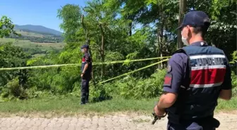 Son dakika haberi: Kardeşini ve yeğenini öldüren sanık: Ağacı neden budadıklarını sorduğumda küfrettiler