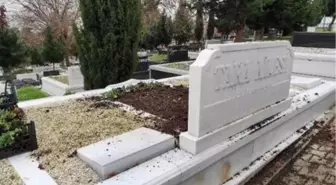 Son dakika haberleri | Şarık Tara'nın babalık davası nedeniyle mezarı açıldı