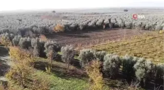 İznik'teki dikilitaş, 2 bin yıldır ayakta