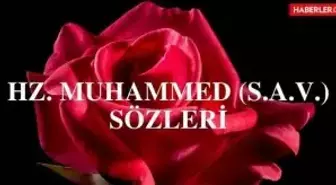 Hz. Muhammed sözleri: Peygamber Efendimiz Hz. Muhammed (S.A.V.) 'in sözleri ve hadisleri!