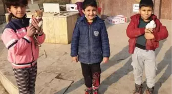 Son dakika haberi... Kısıtlamada parka çıkan çocuklar, kedi ve tavşanlarına hava aldırdı