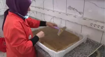 Kadın girişimci kooperatifi kivi ve hurmadan pestil üretiyor