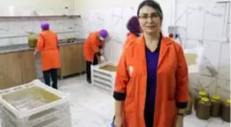 Kadın kooperatifi kivi ve hurmadan pestil üretimine başladı