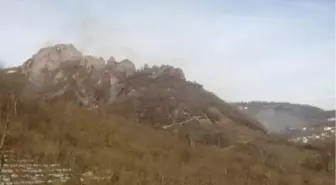 Son dakika... Ordu'daki orman yangını, 5 saatte kontrol altına alındı; 20 dönüm alan yandı