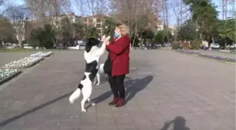 Pendik'te hayvanseverin köpeğe zarar verdiğini iddia ettiği kişiye tepkisi kamerada