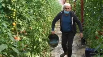 Demre ve Kaş'ta selden 112 üreticinin 282 dönüm serası zarar gördü