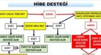 Ticaret Bakanlığı kira ve nakdi yardımlardan faydalanacak olan esnaf kesiminin nace kodlarını açıkladı