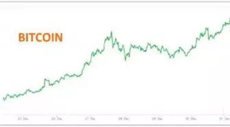 Bitcoin'de yeni zirve 29,244.75 dolar
