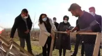 Şanlıurfa'da ipekböcekçiliği yaygınlaştırma projesi