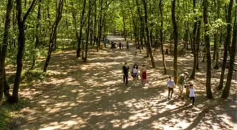 Avrupa'nın en büyük doğal yaşam parkı 5 milyon ziyaretçiyi ağırladı
