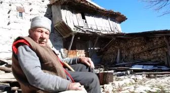 Düğmeli evin ihtiyar delikanlısı