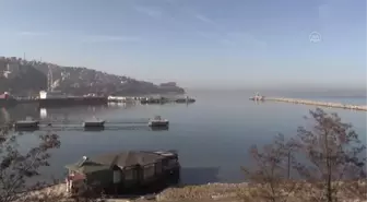ZONGULDAK - Filyos Limanı, Türkiye'nin yeni enerji üssü olacak
