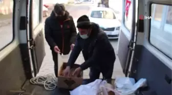 Oltulu hayvanseverler doğadaki kuşlara yem bıraktılar