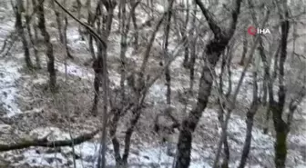 Bitlis'te 10 sığınak ile çok sayıda mühimmat ele geçirildi