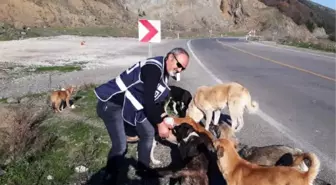 Son dakika haberi... Polisler, aç kalan hayvanları elleriyle besledi