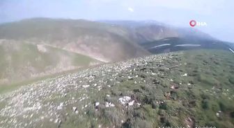 Yılkı atlarıyla yarışmıştı, katledilmelerine tepki gösterdi