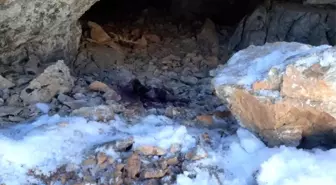 Bitlis'te 250 kilo amonyum nitrat ile yaşam malzemesi ele geçirildi