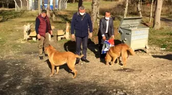 Kısıtlama günlerinde sokak hayvanlarını unutmadılar