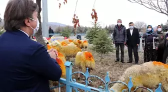Son dakika... Kazada koyunları telef olan Şerife anne koyunlarına kavuştu
