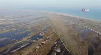 Kızılırmak Deltası'nda ikinci risk