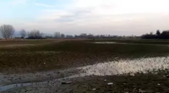 Kuraklık çiftçileri tedirgin ediyor