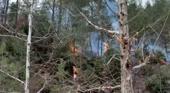 Son dakika haber... Osmaniye'de orman yangını