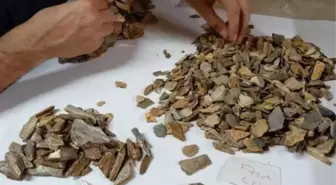 Bilim insanlarını şaşırtan keşif! Arkeolojik kalıntıdan 41 bin yıllık Neandertal kalıntısı çıktı