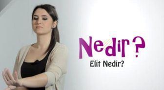 Elit ne demek? Elitizm nedir? Elit ve elitizm arasındaki fark nedir?
