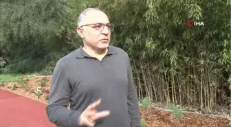 Prof. Dr. Coşkun Usta: 'Aşı olunca her şey normale dönmeyecek'